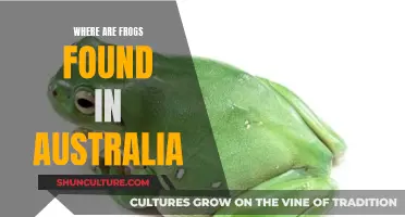 Frogs in Australia: Their Natural Habitat Explored