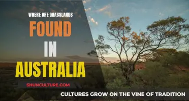 Grasslands in Australia: Where Are They Located?