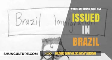 Where to Obtain Immigrant Visas in Brazil: A Comprehensive Guide