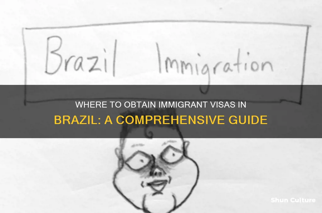 where are immigrant visa issued in brazil
