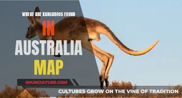 Kangaroo Habitats: Exploring Australia's Unique Wildlife Map