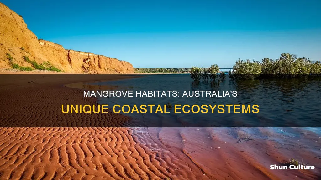 where are mangroves found in australia