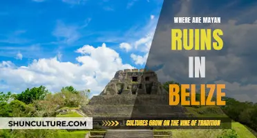 Exploring Belize's Mayan Ruins: A Historical Adventure