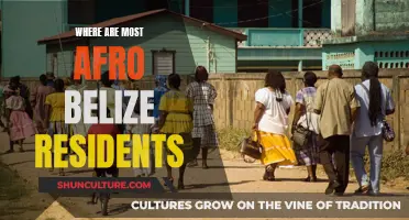 Afro-Belizeans: Where Are They?