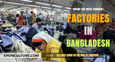 Bangladesh's Garment Industry Hub: Exploring the Concentration of Factories