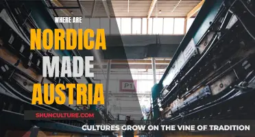 Nordica Skis: Austrian-Made Quality and Performance