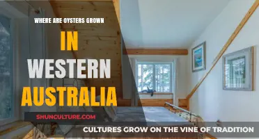WA Oyster Farms: Where and Why?
