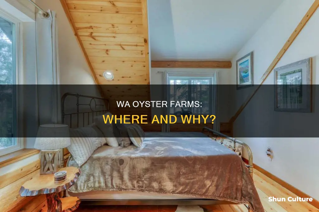 where are oysters grown in western australia