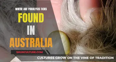 Paralysis Ticks: Where They Lurk in Australia
