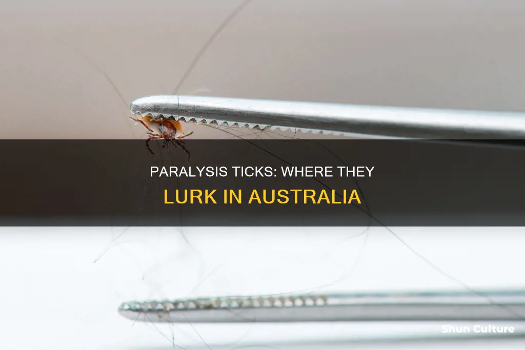 where are paralysis ticks found in australia