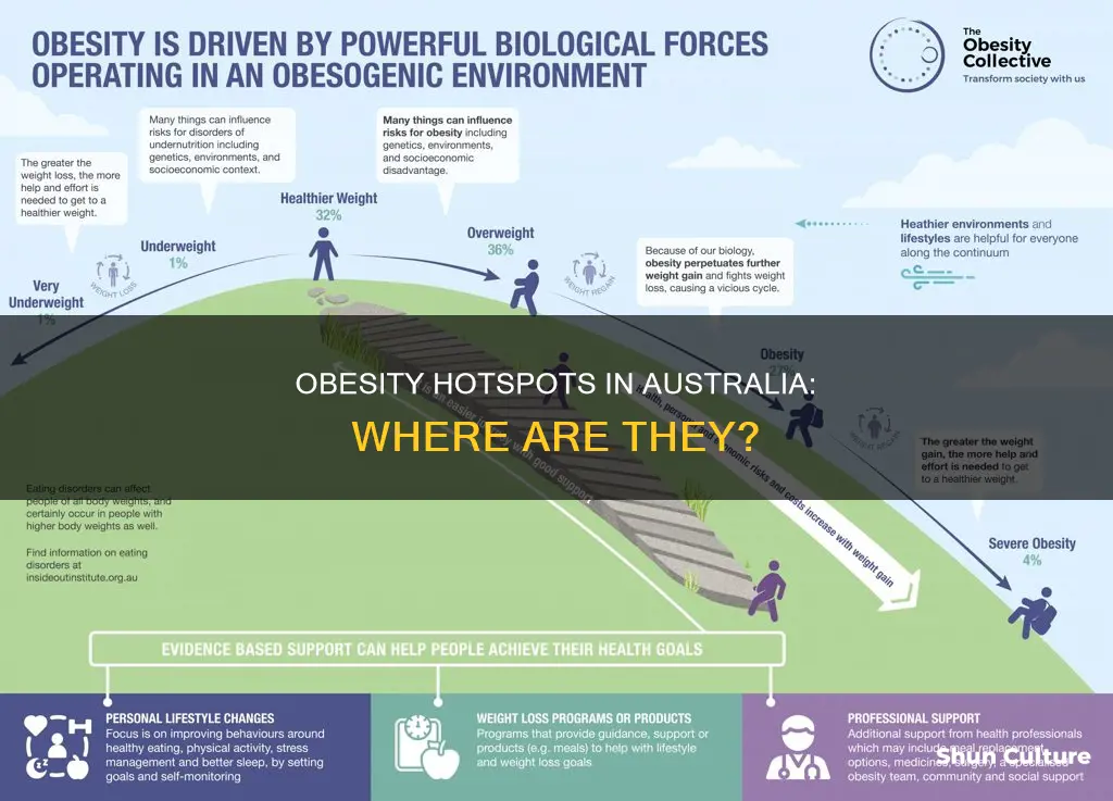 where are people most likely to be obese in australia