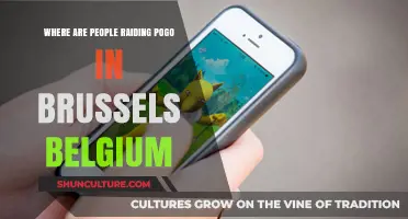 Exploring Brussels: Top Spots for Pokémon GO Raids in Belgium