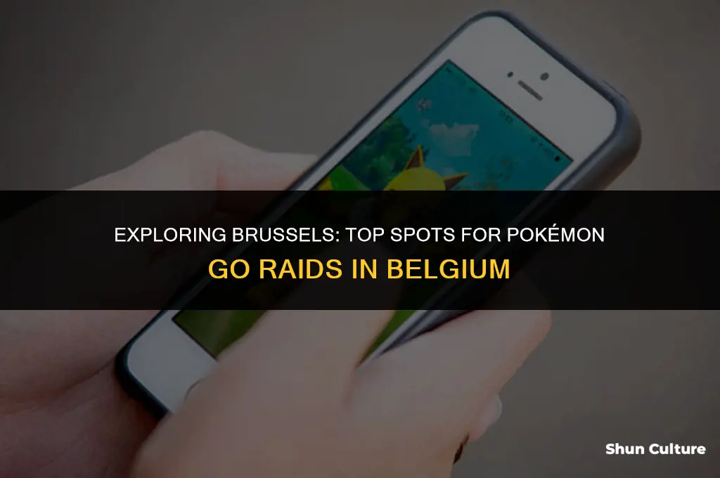 where are people raiding pogo in brussels belgium