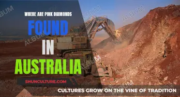 The Hunt for Pink Diamonds in Australia