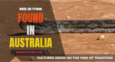Python Habitat: Australia's Python Hotspots Explored