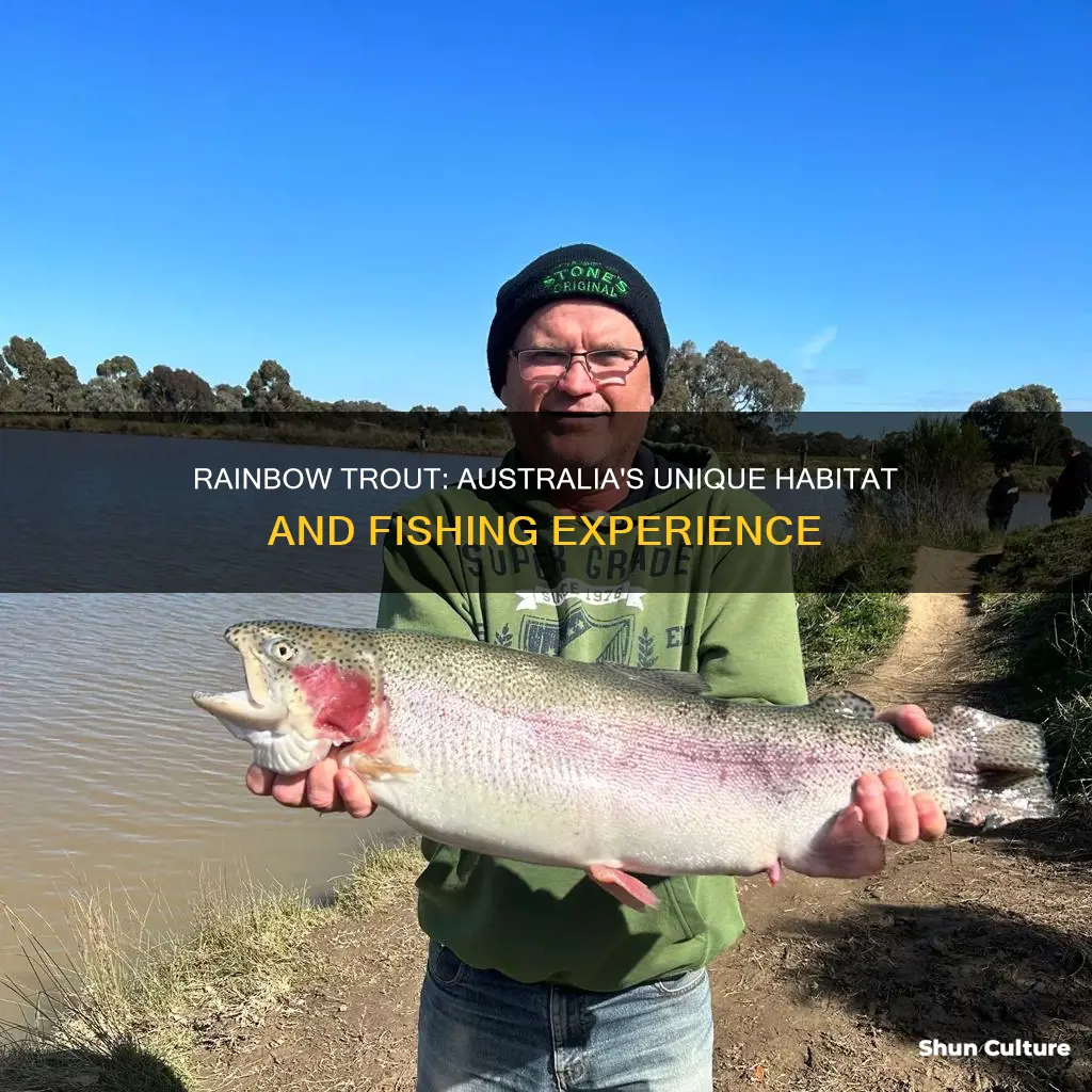 where are rainbow trout found in australia