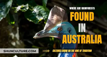 The Rainforest Regions of Australia