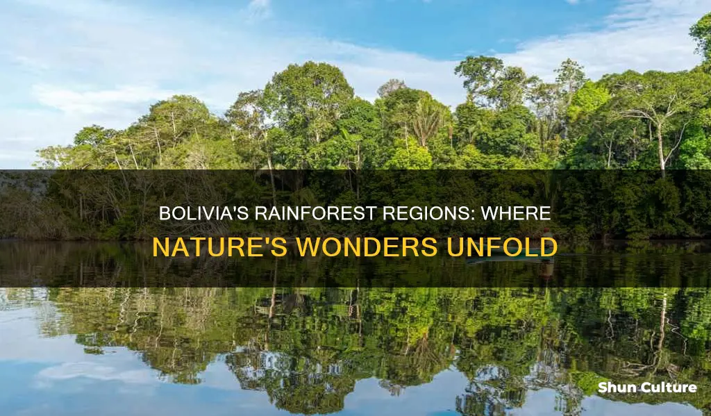 where are rainforests in bolivia