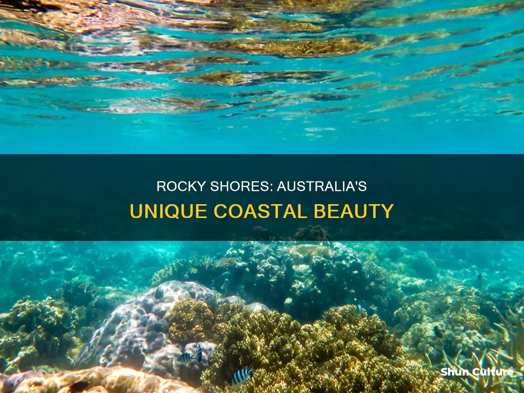 where are rocky shores found in australia
