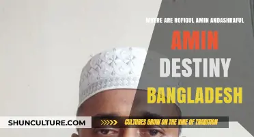 Rafiqul Amin and Ashraful Amin's Destiny in Bangladesh: A Journey