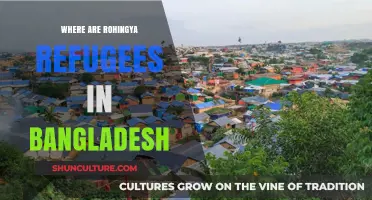 Rohingya Refugees in Bangladesh: Locations, Camps, and Humanitarian Efforts