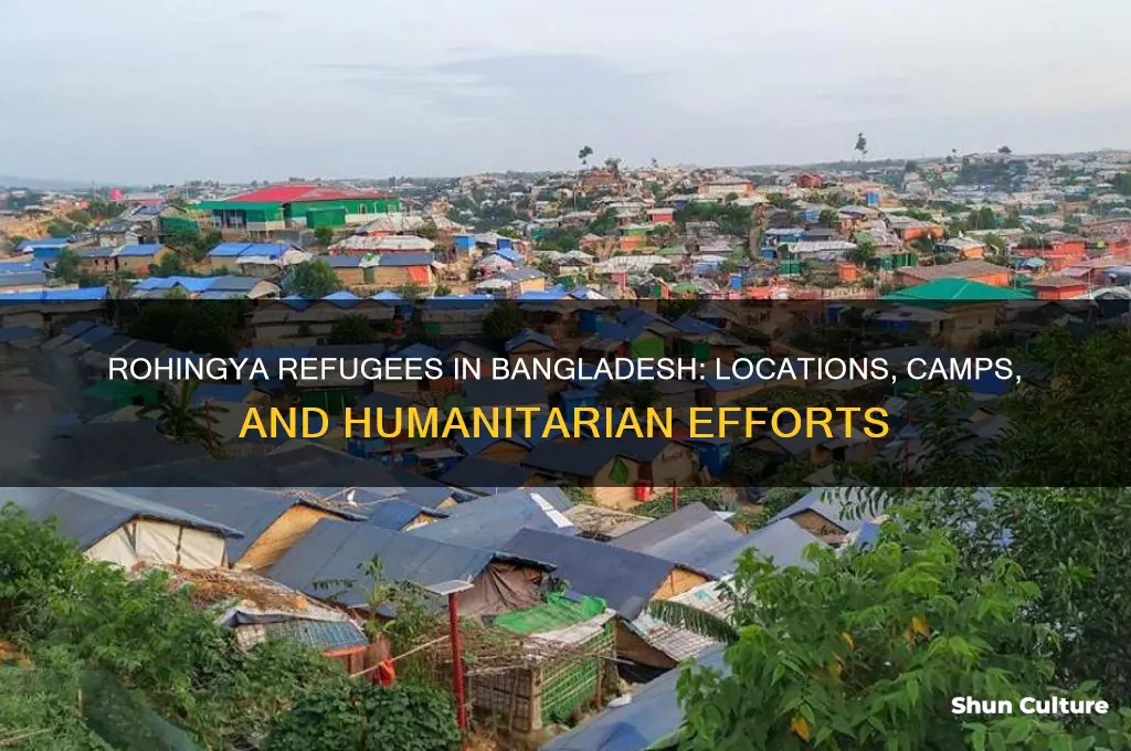 where are rohingya refugees in bangladesh
