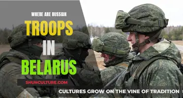 Russian Troops in Belarus: Where Are They Stationed?