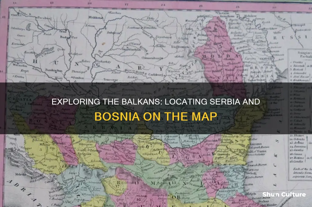 where are serbia and bosnia