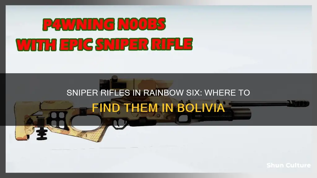 where are sniper rifles rainbow 6 bolivia