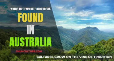 Temperate Rainforest Habitats in Australia: A Natural Wonder