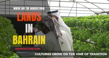 Agricultural Lands in Bahrain: A Geographic Overview