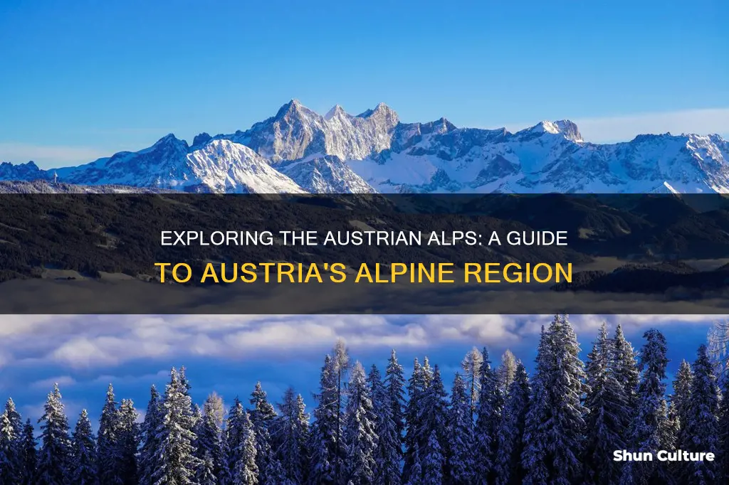 where are the alps in austria