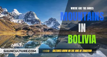 Exploring the Andes: Bolivia's Mountainous Heart