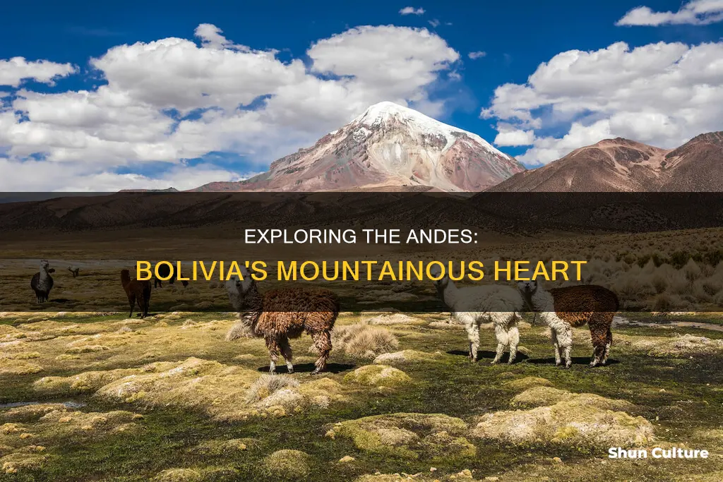 where are the andes mountains in bolivia