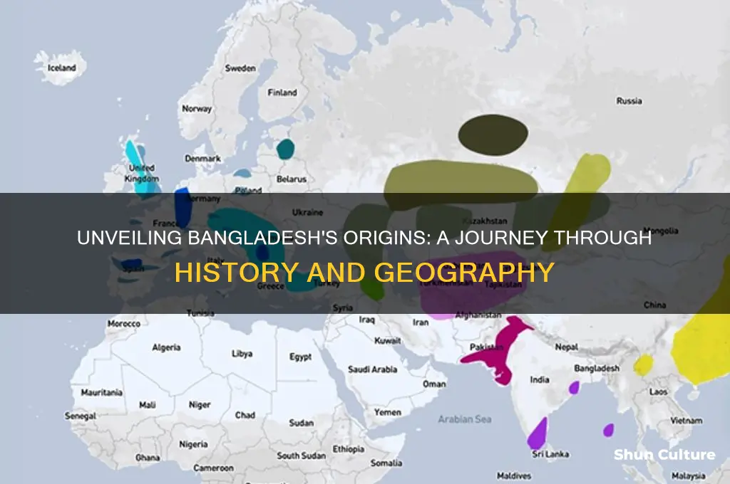 where are the bangladesh from