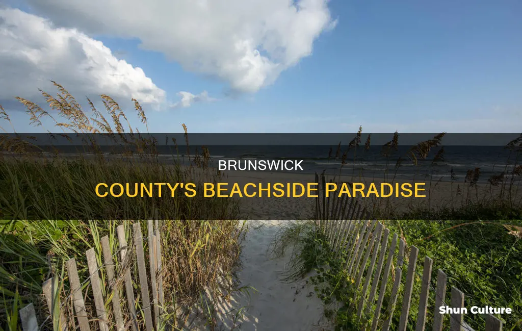 where are the beaches of brunswick county