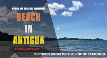Discover Antigua's Top Swimming Beaches: A Tropical Paradise Guide