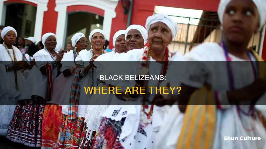 where are the black people in belize