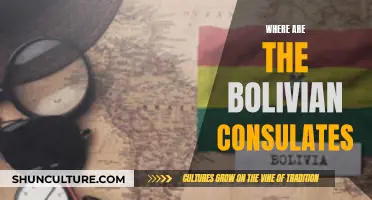 Exploring Bolivian Diplomatic Presence: Consulate Locations Unveiled