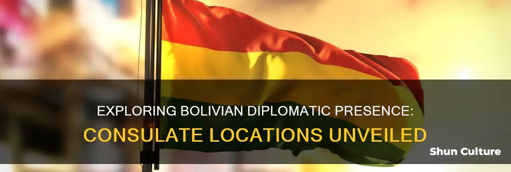 where are the bolivian consulates