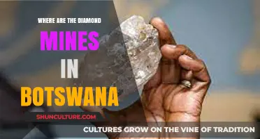 Exploring Botswana's Diamond Mines: Locations and Economic Impact Revealed