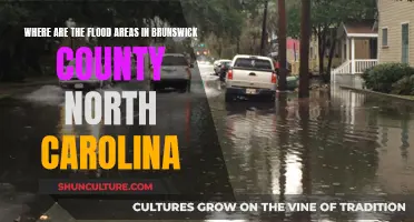 Flood-Prone Areas in Brunswick County, North Carolina