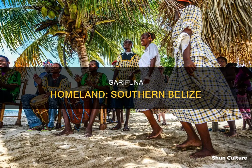 where are the garifuna located in belize