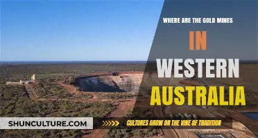 Golden Western Australia: Discovering the State's Rich Mines