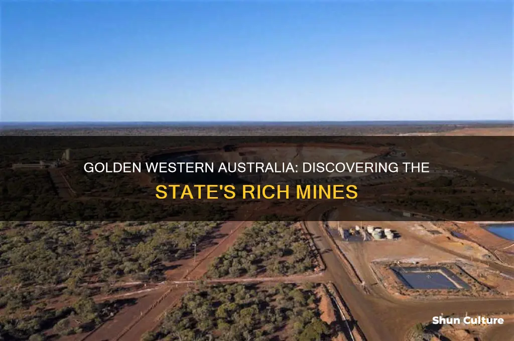 where are the gold mines in western australia
