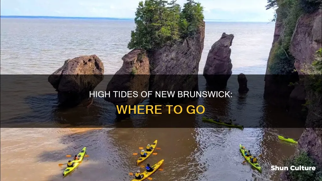 where are the high tides of new brunswick