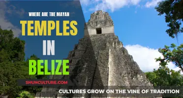 Mayan Temples: Belize's Ancient Wonders