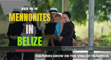 Mennonites in Belize: A Community Apart