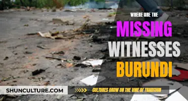 Uncovering the Truth: The Mysterious Disappearance of Burundi's Witnesses