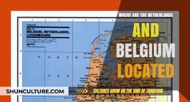 Exploring the Heart of Europe: A Guide to the Netherlands and Belgium